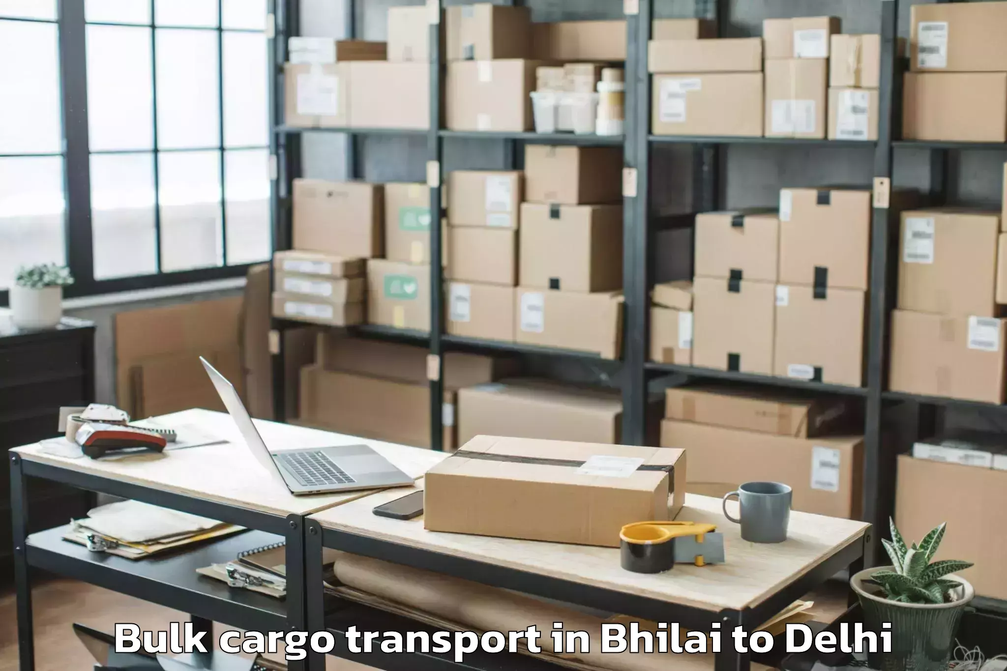 Trusted Bhilai to Unity One Mall Cbd Shahdara Bulk Cargo Transport